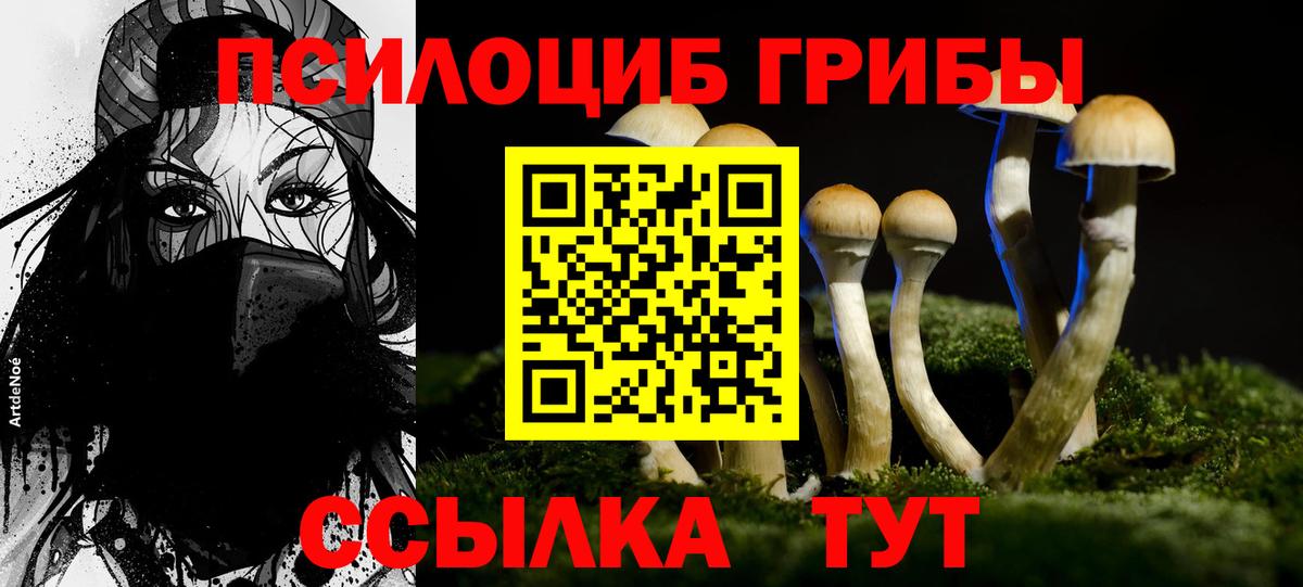 Галлюциногенные грибы прущие грибы Новотроицк